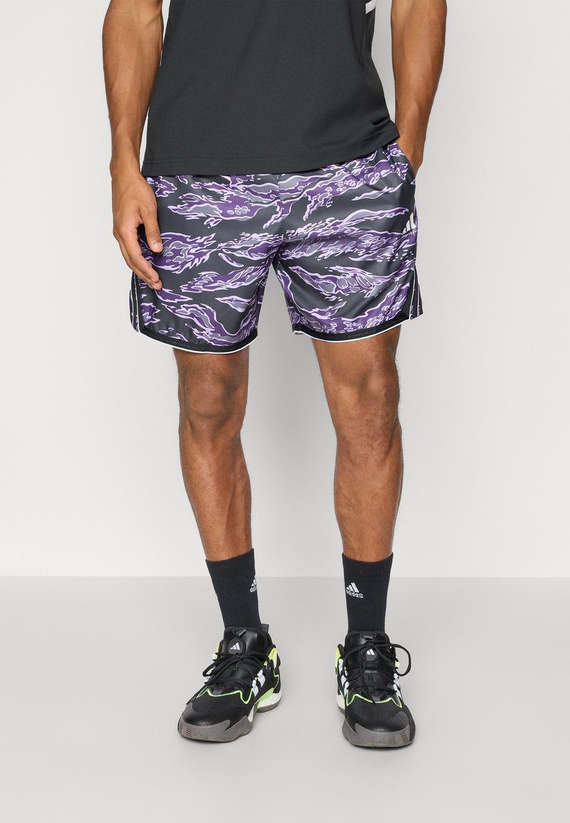 adidas Performance CRAZYLITE  - Korte sportsbukser - aurora plum/black