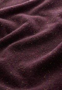 Seasalt Cornwall FITCHER - Stickad tröja - purple merlot