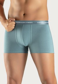 Light blue boxer shorts made from soft fabric with a logoed elastic waistband, featuring a form-fitting design and flat seams.