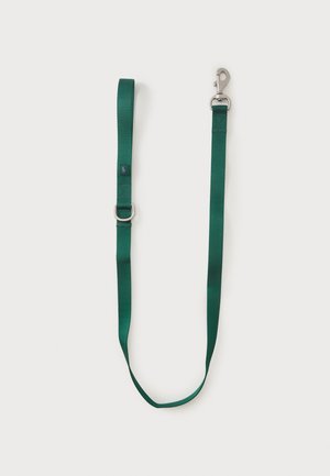 Laisse pour chien en nylon vert avec boucle métallique et anneau en métal, posée à plat sur un fond clair.