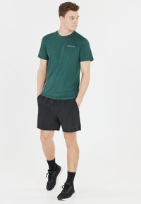 Endurance ABDON - Tekninen t-paita - sea moss