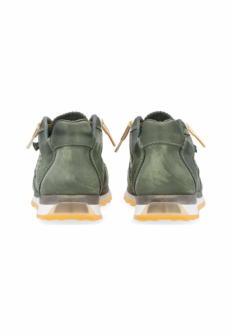 Herren Sneaker low | Cetti Sneaker low mittelgrün/grün - SG11602 Herren Sneaker low | Cetti Sneaker low mittelgrün/grün - SG11602