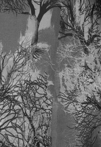 Czarny i biały materiał z detalowym wzorem gałęzi drzewa, z misternymi teksturami i kontrastami odcieni, przedstawiający elementy natury.