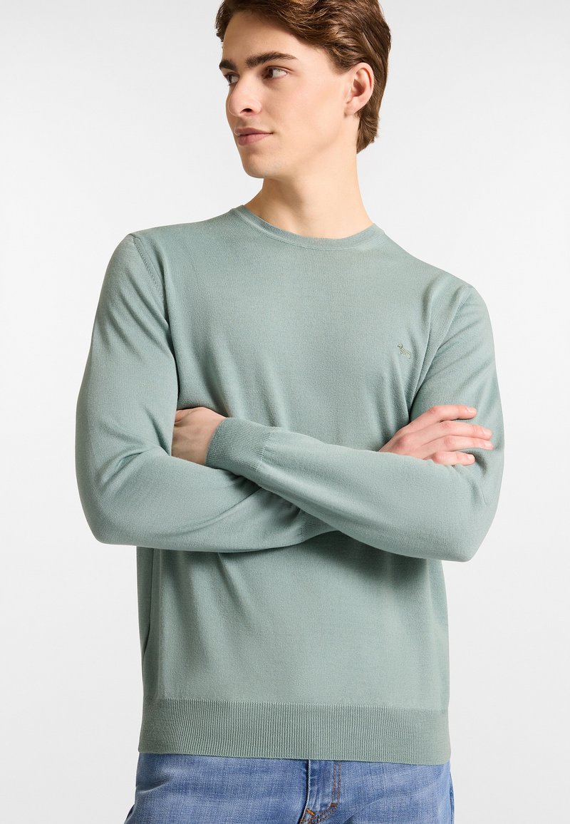 Hellgrüner, langärmeliger Pullover mit rundem Halsausschnitt und gerippten Bündchen. Verfügt über ein dezentes Logodetail auf der Brust. Glatte Textur.