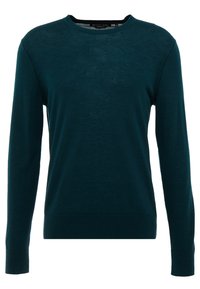 Teal long-sleeve pullover sweater made of soft knit fabric. Features a crew neckline and ribbed cuffs and hem. No visible patterns or accents.
