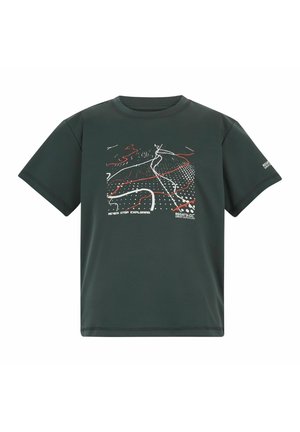 Regatta, REGATTA ALVARADO SHORT SLEEVED GRAPHIC T-SHIRT T-SHIRTS UNISEX - Sports T-shirt - seal grey