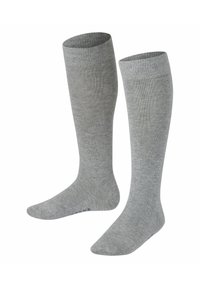FALKE FAMILY - Kniekousen - light grey