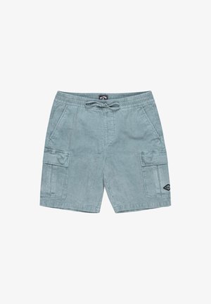 Helle blaue Cargo-Shorts aus weichem Stoff, ausgestattet mit einem elastischen Bund und einer Kordel, Seitentaschen und einem Patch-Logo am unteren Bein.