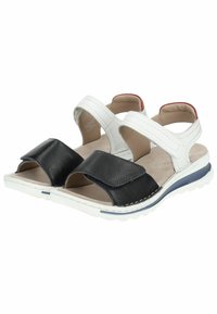 ara Sandali con zeppa - blau weiss rot