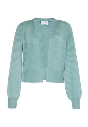 Šviesiai mėlynas banguotas kardiganas su ilgomis rankovėmis, atviru priekiu ir laisvu siluetu. Audinys yra minkštas, su subtiliomis vertikaliomis linijomis per visą medžiagą.