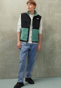 The North Face DENALI VEST - Brezrokavnik - deep grass green