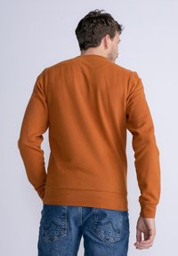 Sudadera color óxido con mangas largas, puños y dobladillo acanalados. Tejido suave y texturizado. Combinada con jeans de mezclilla azules. Vista trasera mostrada.