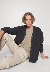 Selected Homme SLHMORGAN SS O-NECK TEE W NOOS - T-shirt básica - chinchilla