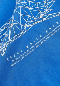 Next SHORT SLEEVE GRAPHIC  REGULAR FIT - Marškinėliai su spaudiniu - blue shark