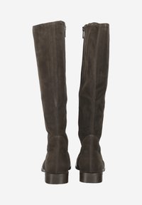 Bottes hautes en daim marron, avec une texture lisse, une fermeture éclair à l'arrière et un petit talon carré. Présente une silhouette ajustée avec des détails minimaux.