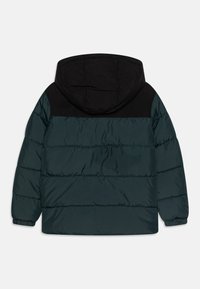 Jack & Jones Junior MOON - Zimska jakna - magical forest