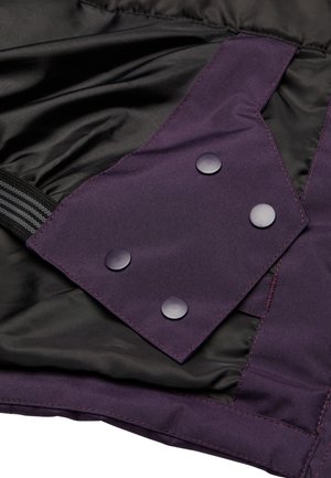 DC Shoes, DC SHOES FRAUEN TECHNICAL OUTERWEAR|TECHNICAL JACKETS - Snowboard jacket - psh mysterioso