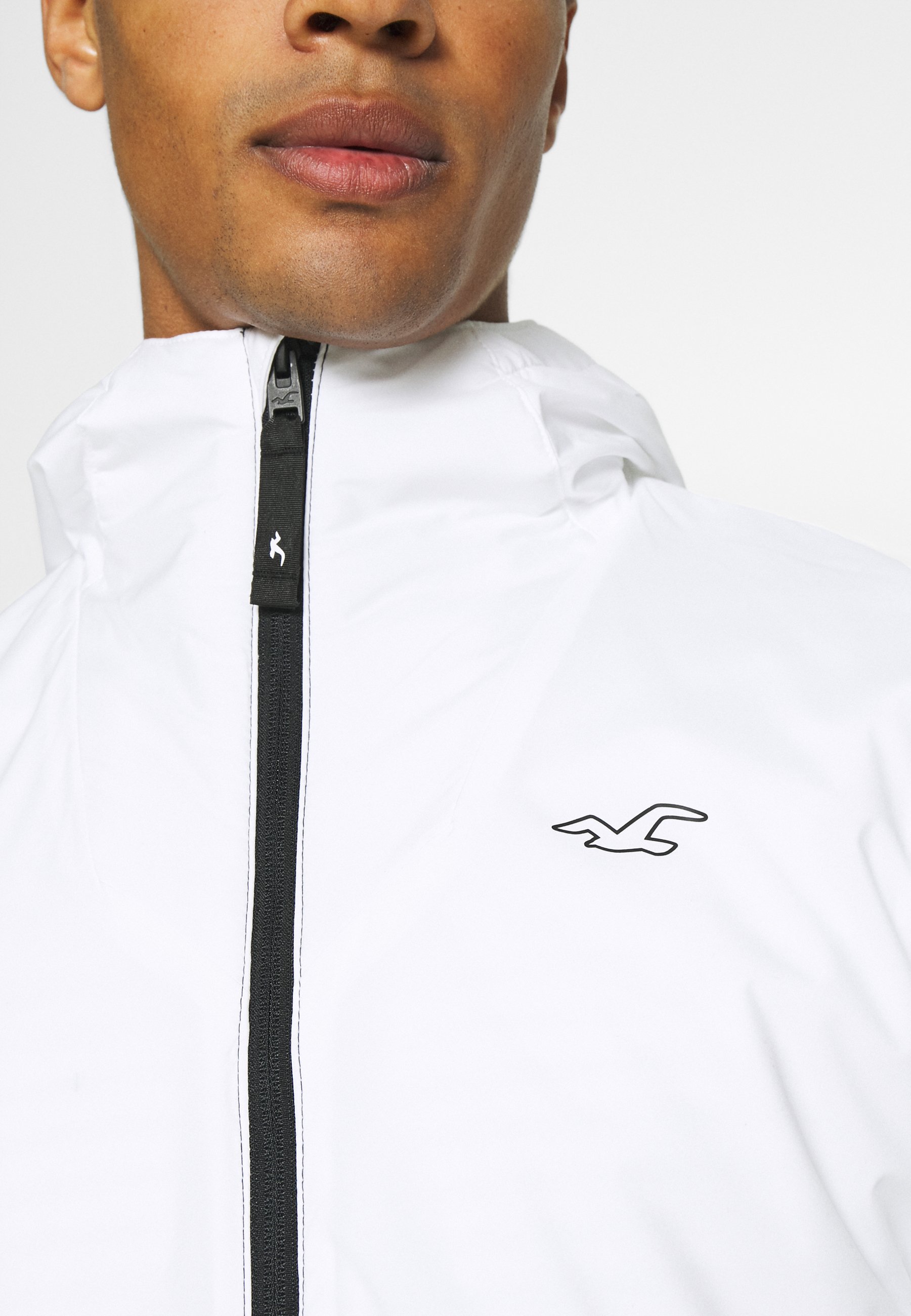 hollister zalando