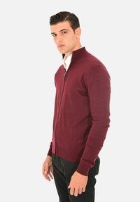 Cardigan rosso borgogna con zip, maniche lunghe, polsi e orlo a costine, realizzato in un tessuto morbido. Indossato sopra una camicia bianca, silhouette aderente.