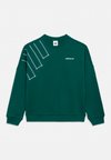 LOOSE BLOCKED CREW JUNIOR UNISEX - Sweatshirt - collegiate green