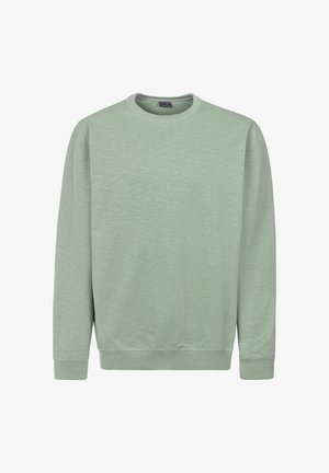 Hellgrünes Sweatshirt mit langen Ärmeln und Rundhalsausschnitt, gerippte Bündchen und Saum, schlichtes Design und weicher, strukturierter Stoff.