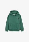 BLUE RIDGE - Sweat à capuche - turquoise