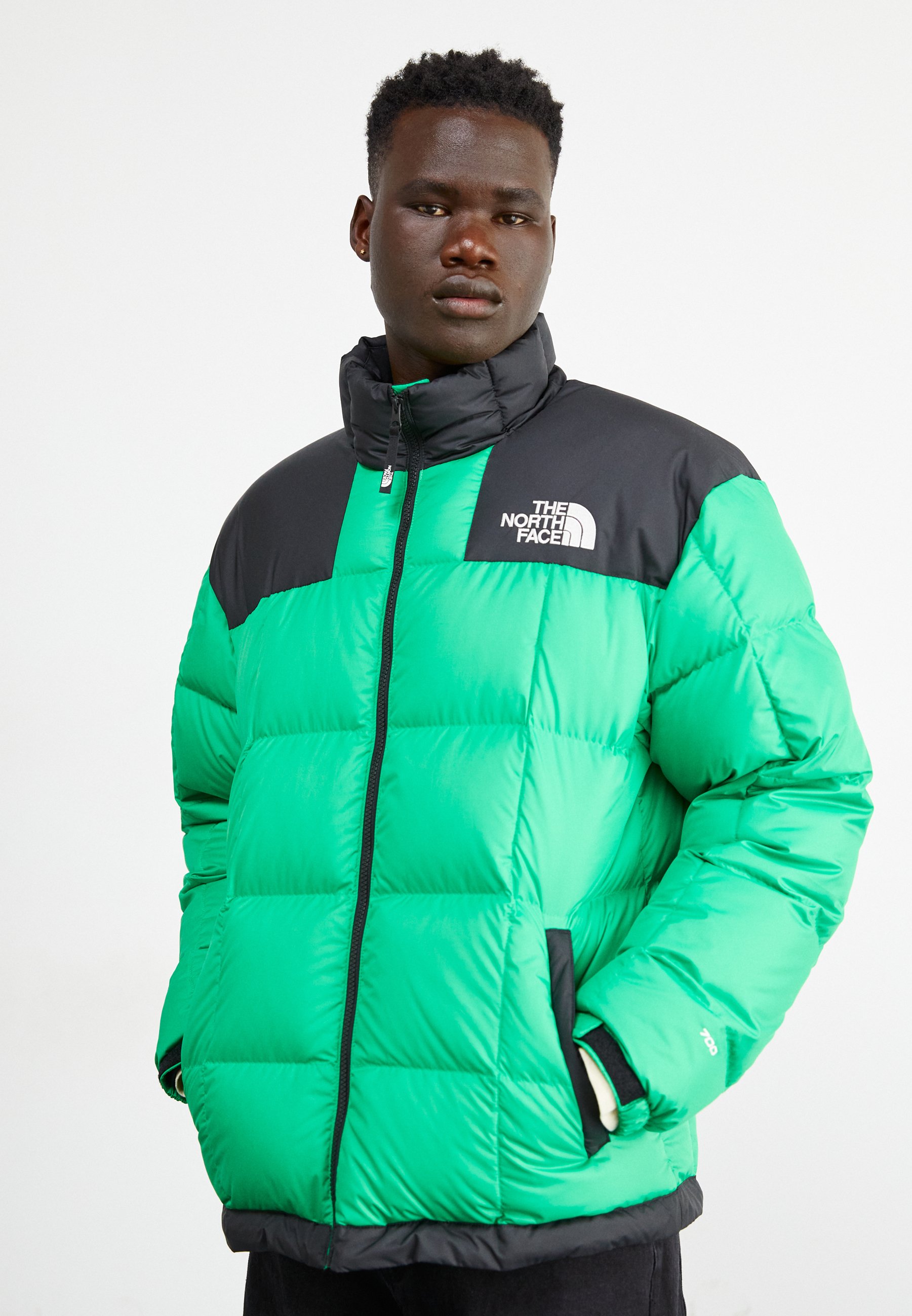 The North Face JACKET - Down jacket - optic emerald/green 
