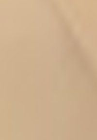 Tissu beige avec une texture lisse et mate, présentant de subtiles variations de ton et une légère brillance, idéal pour la tapisserie ou les vêtements.