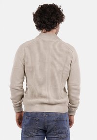 Maglione beige lavorato a maglia con una texture a coste e colletto alto, dotato di orlo aderente e maniche raglan, visto da dietro.