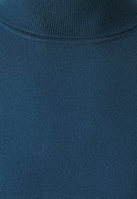DRYKORN JOEY - Trui - green