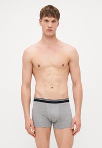 Gray boxer briefs with a black and white striped waistband. Made of soft fabric, featuring a snug fit and classic design.