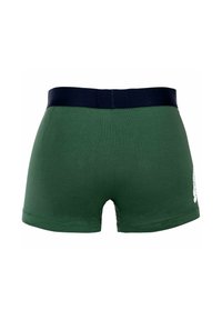 Short vert avec une ceinture marine. Présente un détail graphique blanc sur le côté gauche. Matière douce et extensible, longueur mi-cuisse.