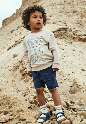 Unge barn med krøllet hår iført beige sweatshirt, navy shorts, hvide sokker og blå sandaler, står på klippe- og sandterræn.