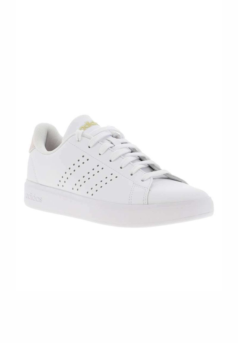 adidas Performance TENNIS - Carpet court tennis shoes - or/gold-coloured -  Zalando