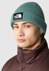 The North Face SALTY LINED BEANIE - Beanie - dark green