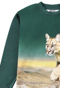 Molo REXTON LONG SLEEVES - Topper langermet - green