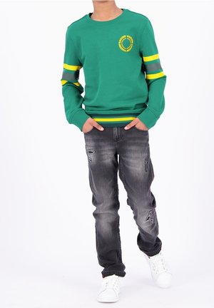 RAIZZED, Sweatshirt - green