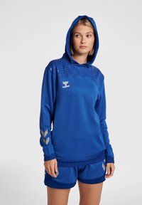 Felpa blu con parte superiore texturizzata, logo sul petto e dettagli a chevron grigi sulle maniche; abbinata a pantaloni corti coordinati.
