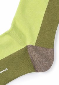 Floris van Bommel SOKKI 01 - Calze - green
