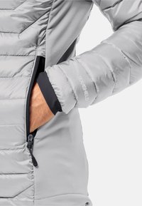 Jack Wolfskin ROUTEBURN PRO  - Giacca invernale - cool grey