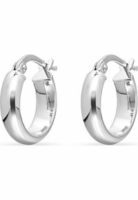 FAVS Orecchini - zilveren kleur