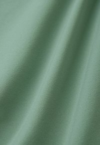 Tissu doux et lisse de couleur vert sauge pâle avec de délicats plis créant des ombres subtiles et une texture riche.