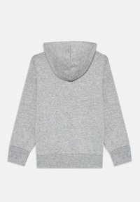 Sudadera con capucha de color gris claro y mangas largas, con puños acanalados, vista desde la parte de atrás sobre un fondo blanco.