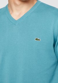 Man som bär en himmelsblå V-ringad tröja med en liten grön krokodil-logotyp på vänster bröst.