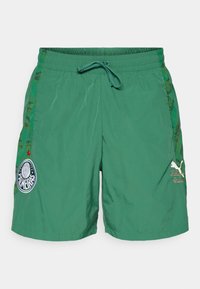 KIDSUPER PALMEIRAS TRAVEL SHORT - Klubbklær - vine/alpine snow