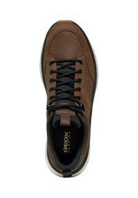 Geox SPHERICA ACTIF  - Sneakers basse - coffee black