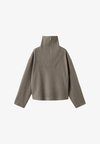 Pullover - brown