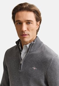 Uomo con capelli castano chiaro che indossa un maglione grigio con zip a un quarto sopra una camicia a righe con colletto, rivolto frontalmente con espressione neutra.