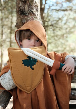 Otrok v rjavi ogrinjali s kapuco drži zlati ščit z zelenim grbom zmaja in bel meč z rjavim ročajem, sedi ob drevesu.