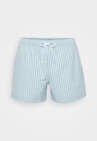 Helle blaue Badeshorts mit vertikalen Streifen, elastischem Taillenbund und weißen Kordelzug. Hergestellt aus leichtem Material, ideal für Wasseraktivitäten.